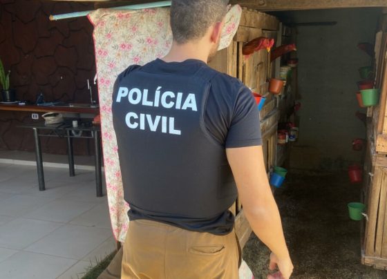 PCGO resgata galos em situação de maus tratos e usados em rinhas na cidade de Morrinhos