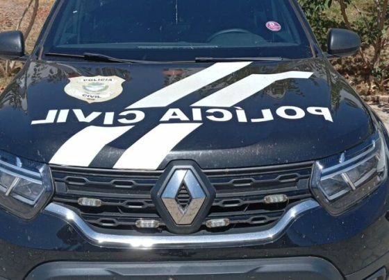 Polícia Civil prende homem em Ceres por crime de furto