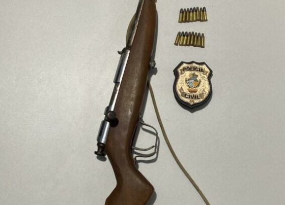 Polícia Civil prende homem em flagrante por violência doméstica em Nova Crixás