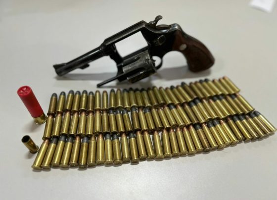 Polícia Civil prende homem em posse de arma de fogo durante investigação sobre morte de cão