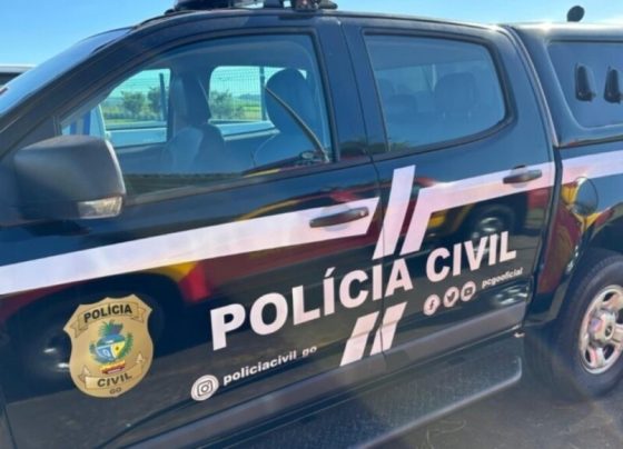 ‘Preço falso’: PCGO deflagra operação contra estelionatários em Trindade