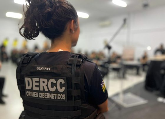 Crimes Cibernéticos: operação prende investigado, no DF, por armazenar material de pornografia infantil