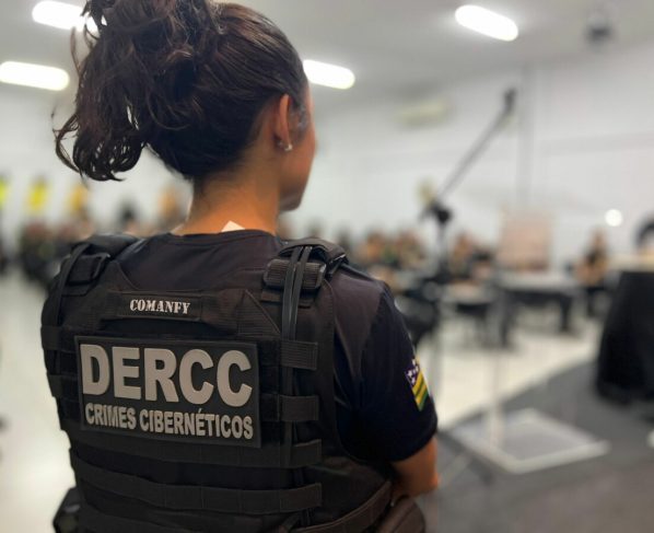 Crimes Cibernéticos: operação prende investigado, no DF, por armazenar material de pornografia infantil
