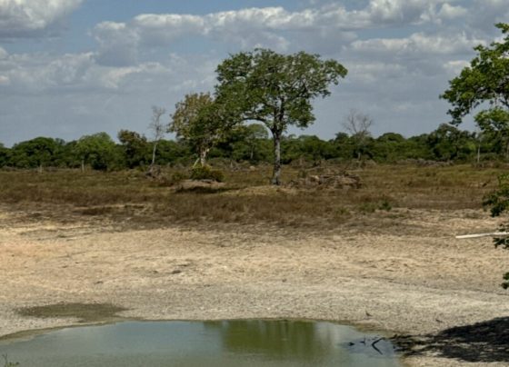Ação integrada entre PCGO e Semad busca preservar ecossistemas do Lago Luiz Alves e do Rio Araguaia