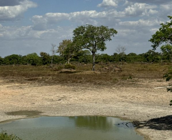 Ação integrada entre PCGO e Semad busca preservar ecossistemas do Lago Luiz Alves e do Rio Araguaia