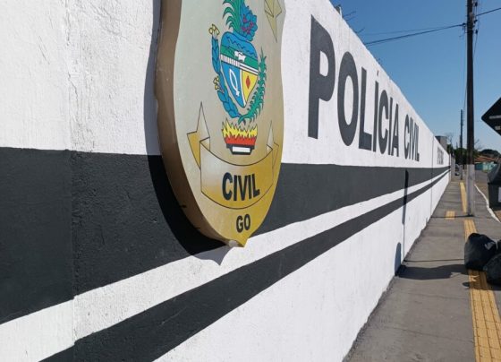 PCGO delimita autoria de grande incêndio criminoso praticado em Uruaçu