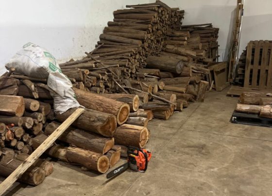 PCGO e Vigilância Sanitária interceptam distribuição de café irregular em Goiânia