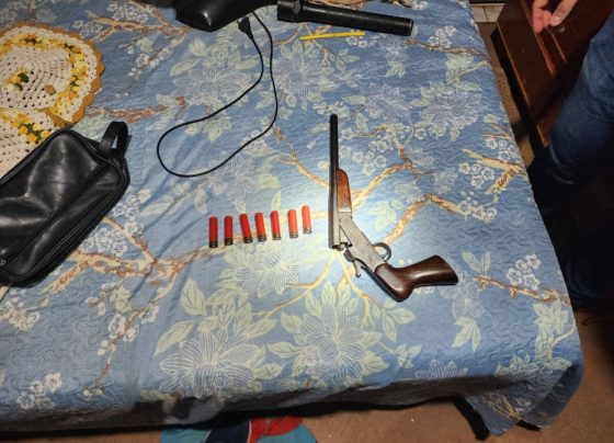 PCGO cumpre mandado, apreende arma e prende investigado por violência doméstica