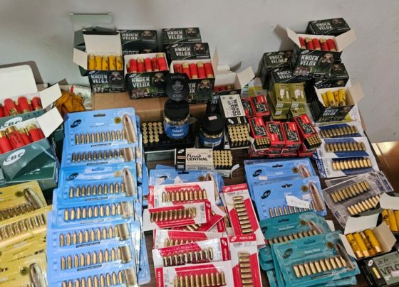 Calibre Zero: PCGO deflagra operação e apreende armas e 4 mil munições em Goiás