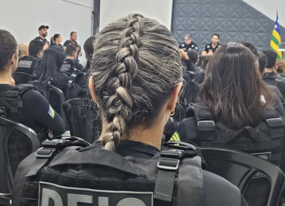 PCGO e PCDF localizam e prendem uma integrante de organização criminosa especializada em fraudes bancárias