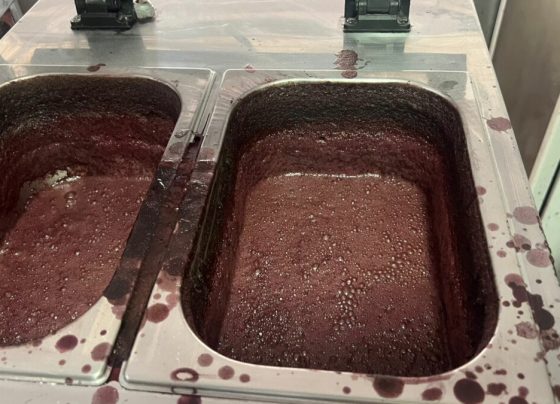 PCGO e Vigilância Sanitária interditam açaiteria em Goiânia por risco à saúde pública