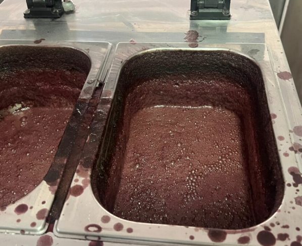 PCGO e Vigilância Sanitária interditam açaiteria em Goiânia por risco à saúde pública