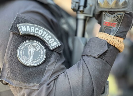 PCGO incinera 5,8 toneladas de drogas em operação integrada