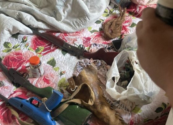 PCGO prende homem em flagrante por agressões, ameaças e posse ilegal de armas em Araguapaz