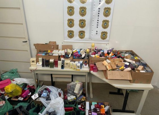Polícia Civil cumpre buscas e apreende cosméticos e perfumes furtados de empresa em Morrinhos