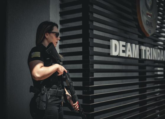 Rascunho automático