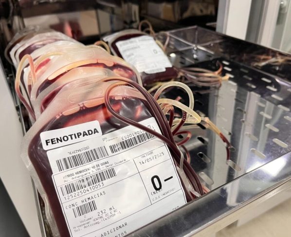 Doação de sangue na Rede Hemo