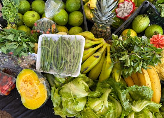 Governo de Goiás beneficia mais de 2 mil produtores da agricultura familiar