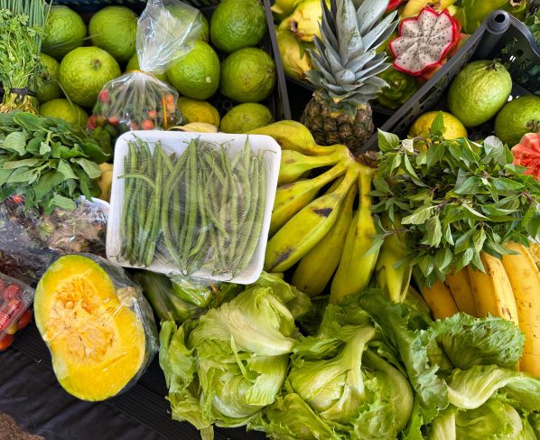 Governo de Goiás beneficia mais de 2 mil produtores da agricultura familiar