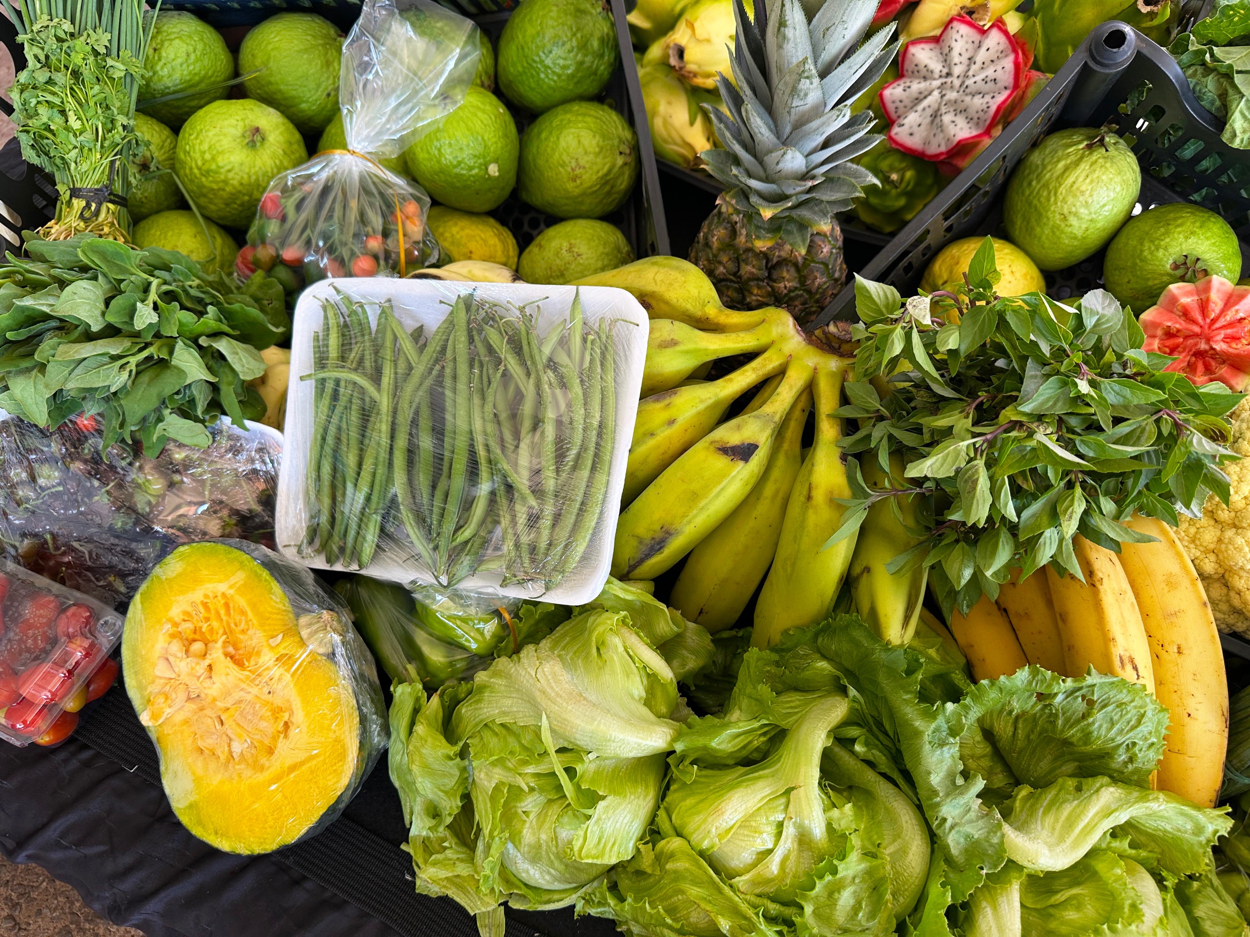 Governo de Goiás beneficia mais de 2 mil produtores da agricultura familiar
