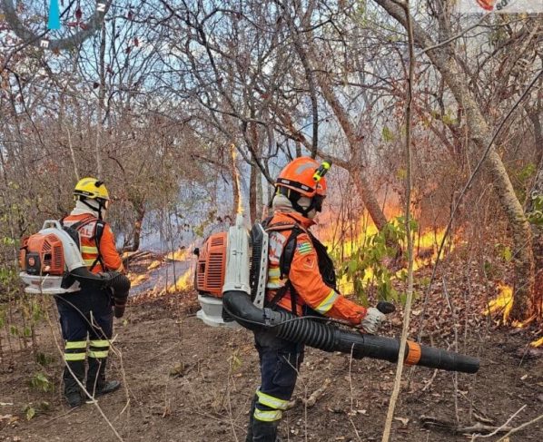 Identificados autores de incêndios de quase 90 mil hectares