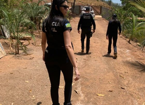 PCGO autua em flagrante autor de furto de energia elétrica em propriedade rural de Niquelândia