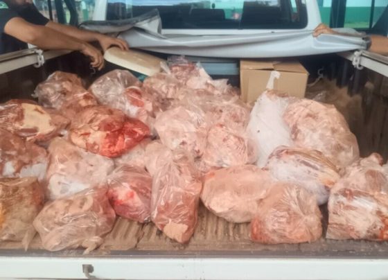 PCGO desarticula abatedouro clandestino e apreende grande quantidade de carne irregular em Niquelândia