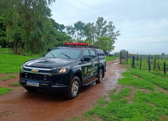 PCGO presta apoio ao Creas em Niquelândia para oitiva de mãe de crianças vítimas de assédio sexual