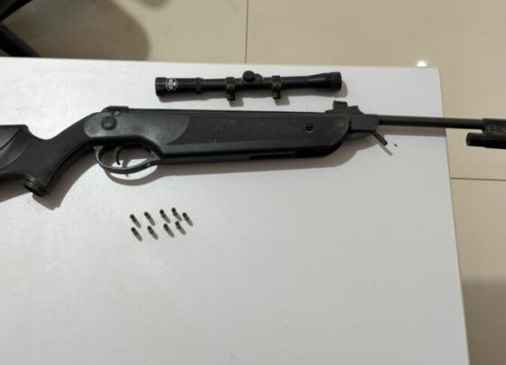 PCGO prende homem por posse ilegal de arma de fogo em Silvânia