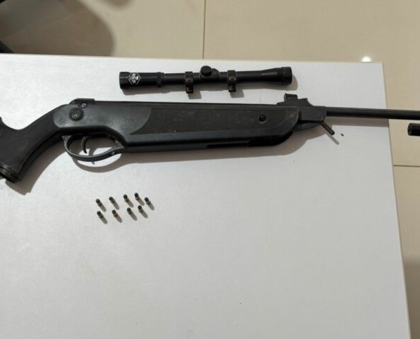 PCGO prende homem por posse ilegal de arma de fogo em Silvânia