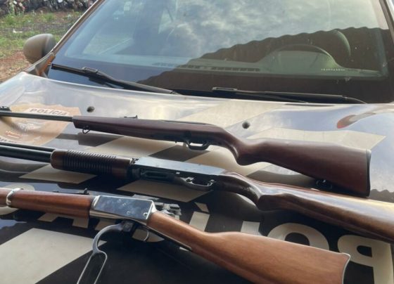 PCGO apreende três armas de fogo em cumprimento de mandado por violência doméstica em Santa Helena