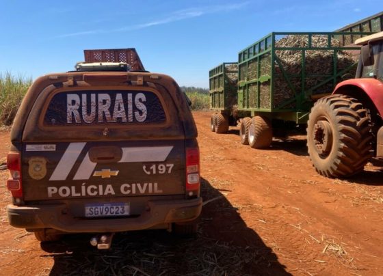 PCGO cumpre mandado e prende condenado por estelionato e lavagem de dinheiro em Aparecida de Goiânia