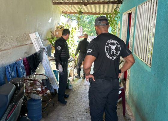 PCGO participa da Operação Nark e apreende drogas e materiais relacionados ao tráfico em Santo Antônio do Descoberto