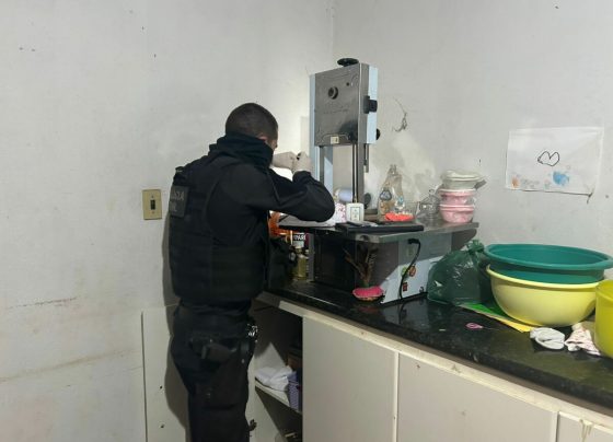 Operação integrada prende autor por posse ilegal de arma de fogo de uso restrito em Indiara