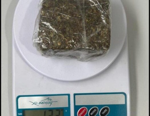 PCGO cumpre mandados e prende investigado por tráfico em Campos Belos