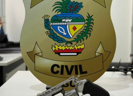 PCGO prende em flagrante homem por posse irregular de arma de fogo em Uruaçu