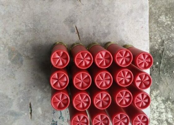 PCGO apreende armas e munições, em Cocalzinho, e procura por foragido