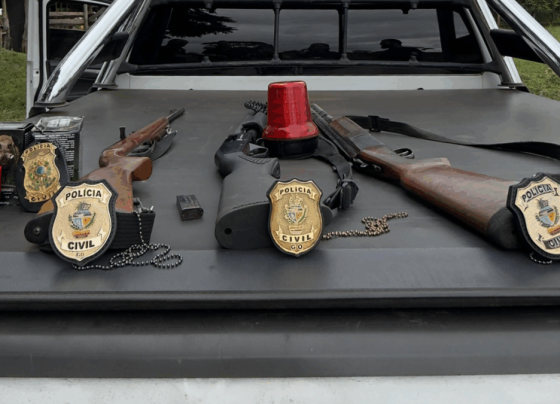 PCGO cumpre mandado de apreensão de armas e munições em Cristalina