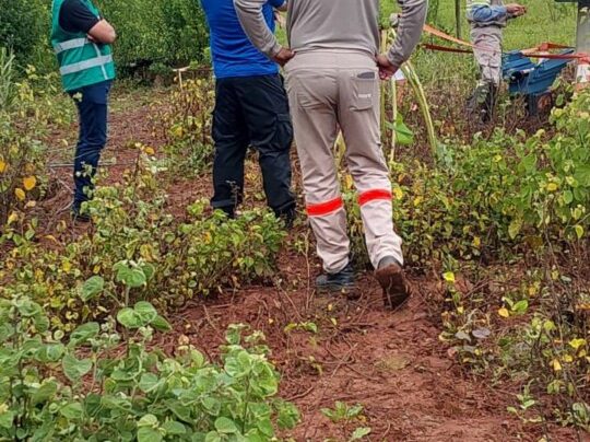 PCGO prende em flagrante morador da zona rural de Rubiataba por furto de energia elétrica