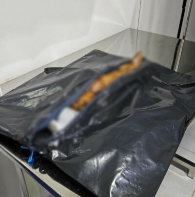 Polícia Civil prende homem em flagrante por maus tratos a animal em Goiânia