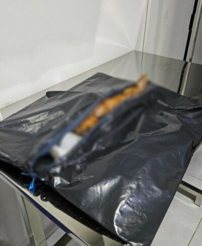 Polícia Civil prende homem em flagrante por maus tratos a animal em Goiânia