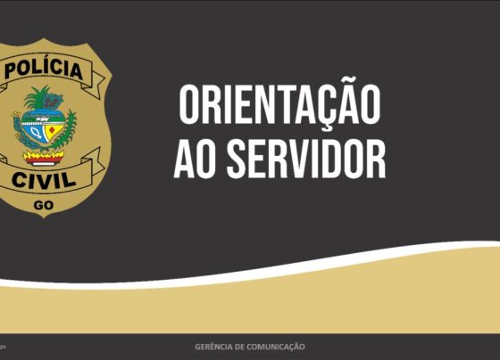 Rascunho automático