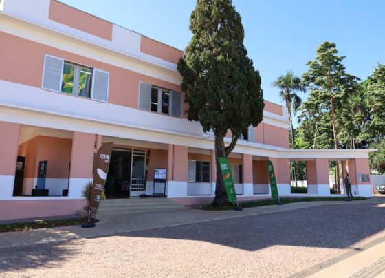 Secult Goiás lança Baru 2.0 e moderniza gestão de editais culturais no Estado