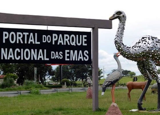 Governo de Goiás ativa 33 pontos de Wi-Fi público e amplia conectividade no estado