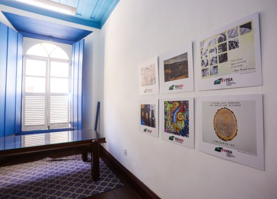 Governo de Goiás lança edital de artes visuais para o Fica 2026