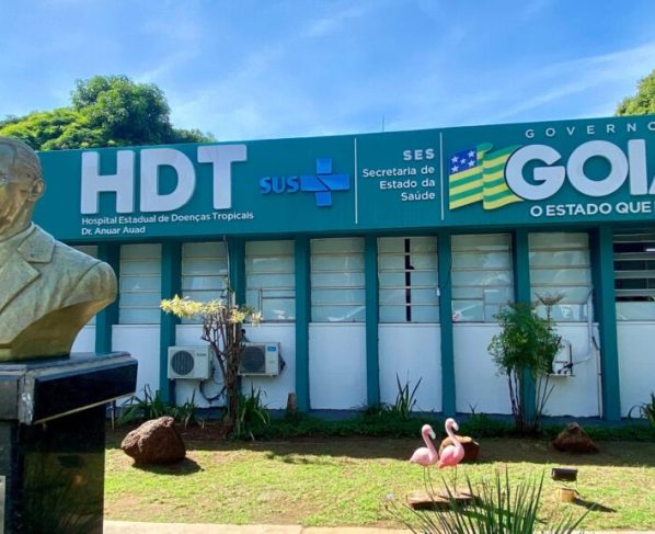 Saúde alerta para riscos e orienta sobre primeiros socorros em casos de picadas de cobra