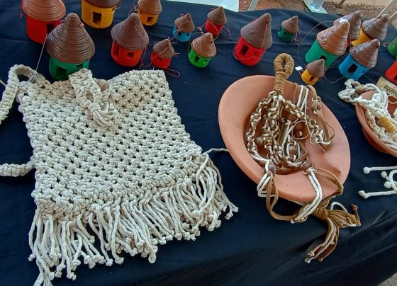 Basileu França promove 20ª FeirArte no Centro Cultural Martim Cererê