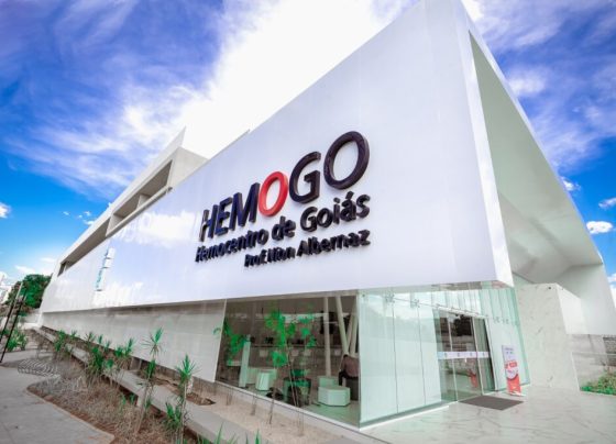 Idtech abre processo seletivo para contratação de profissionais para atuar no HGG e Hemocentro Coordenador -