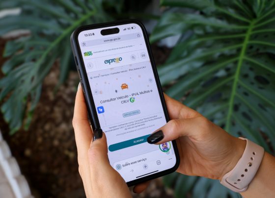 IPVA 2026 em Goiás: sexta parcela vence nesta segunda-feira - Pessoa acessando Portal Expresso pelo celular