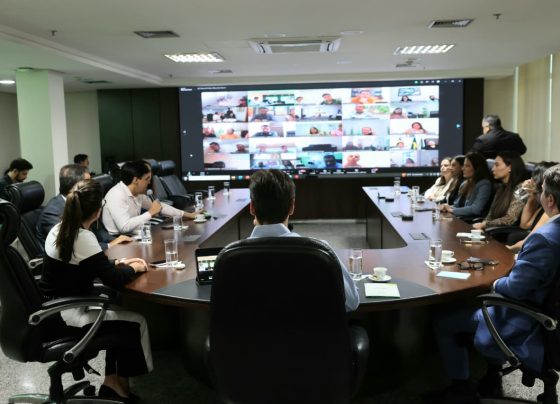 Governador Daniel Vilela reúne prefeitos para definir ações conjuntas de combate ao Aedes aegypti